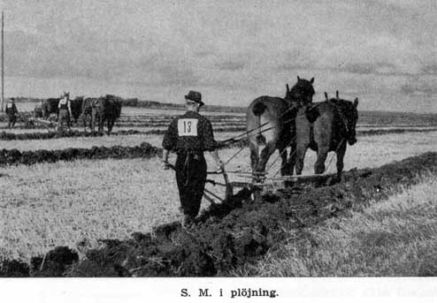 SM i plöjning 1924
